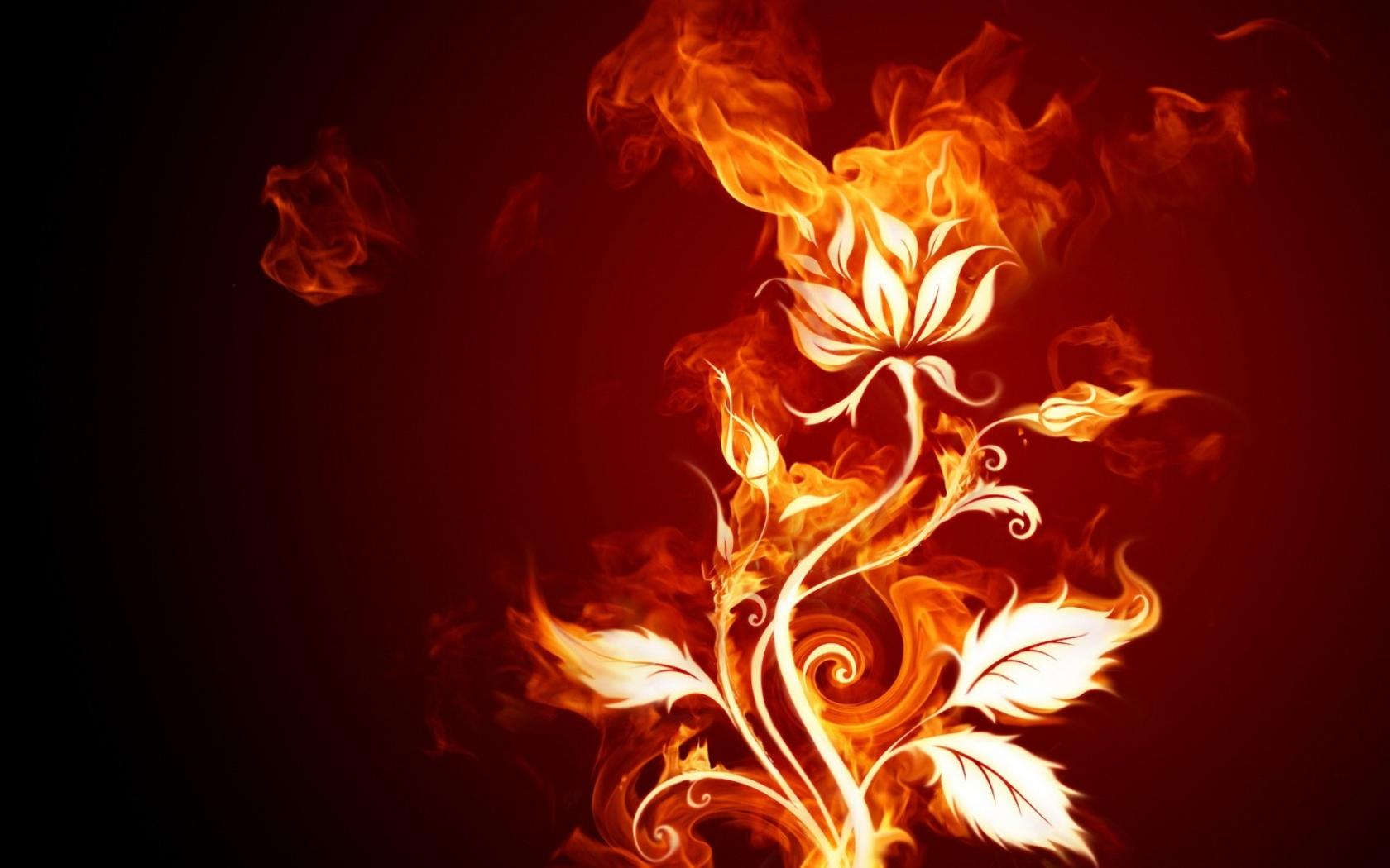 Fire Flower Wide Image Abstract 3d