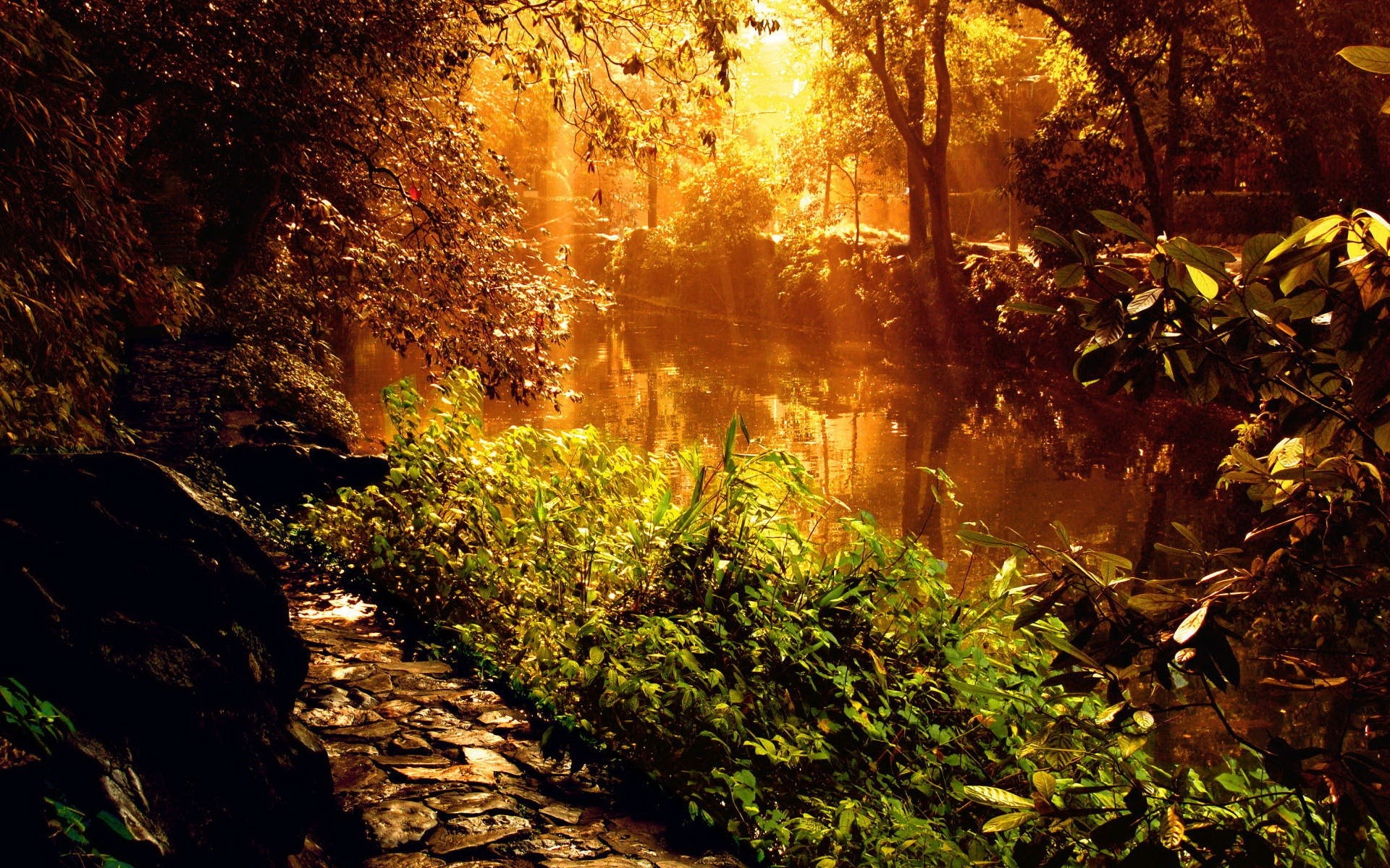 Forest River Sunset Desktop Wallpaper