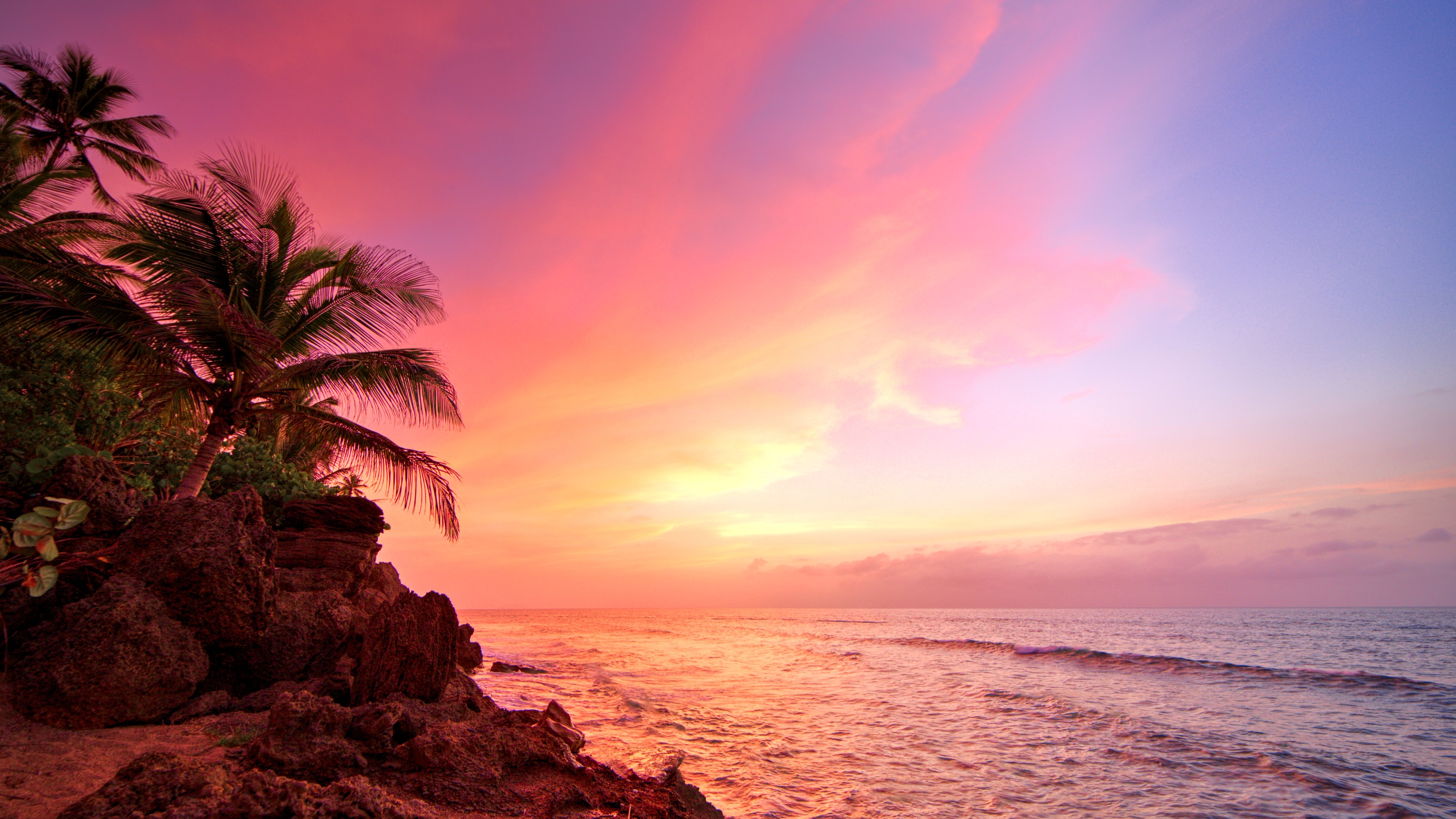 Puerto Rico Rincon Sunset Ocean Palms Wallpaper HD