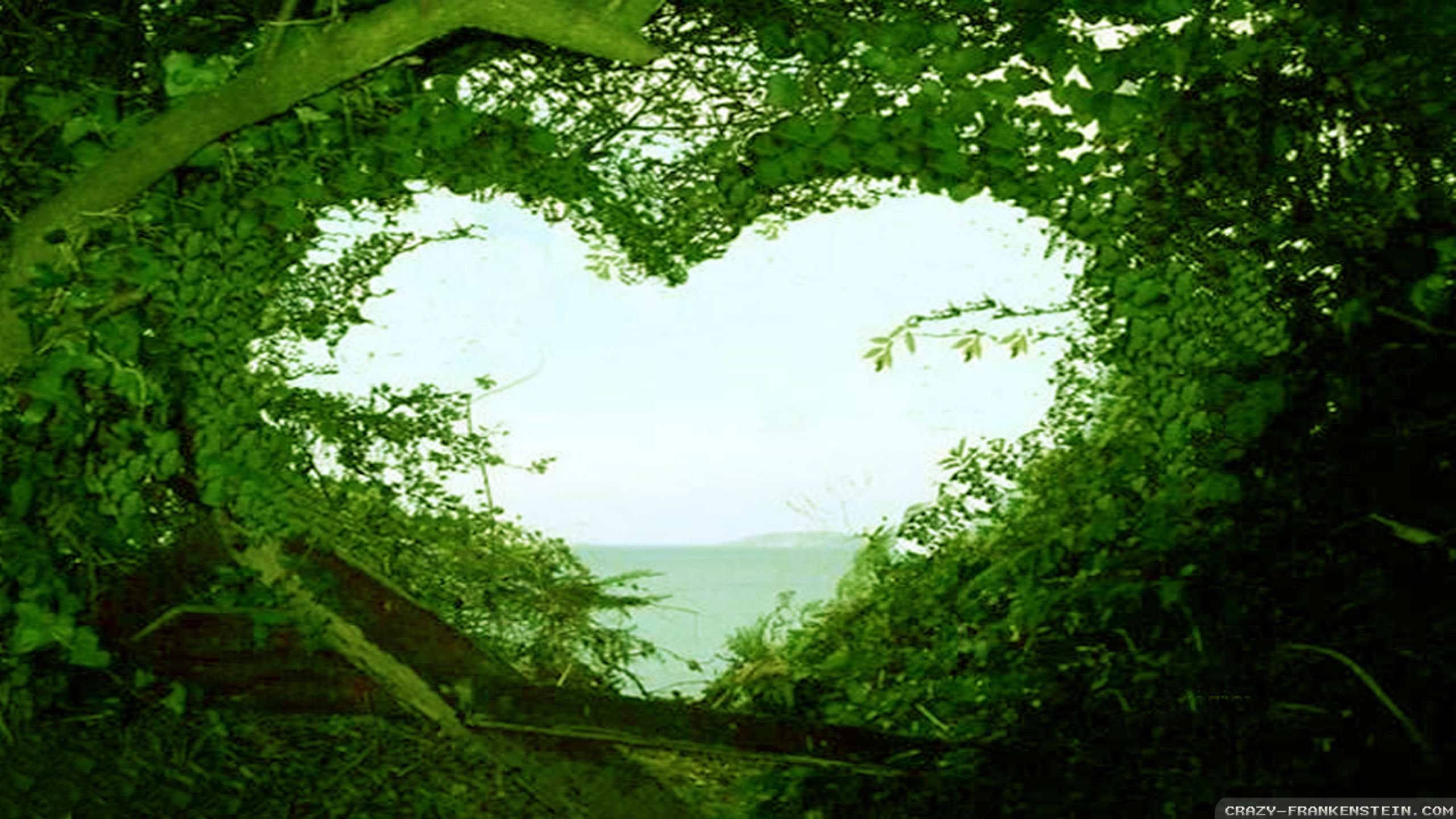 Beautiful Love Nature Wallpaper HD Desktop