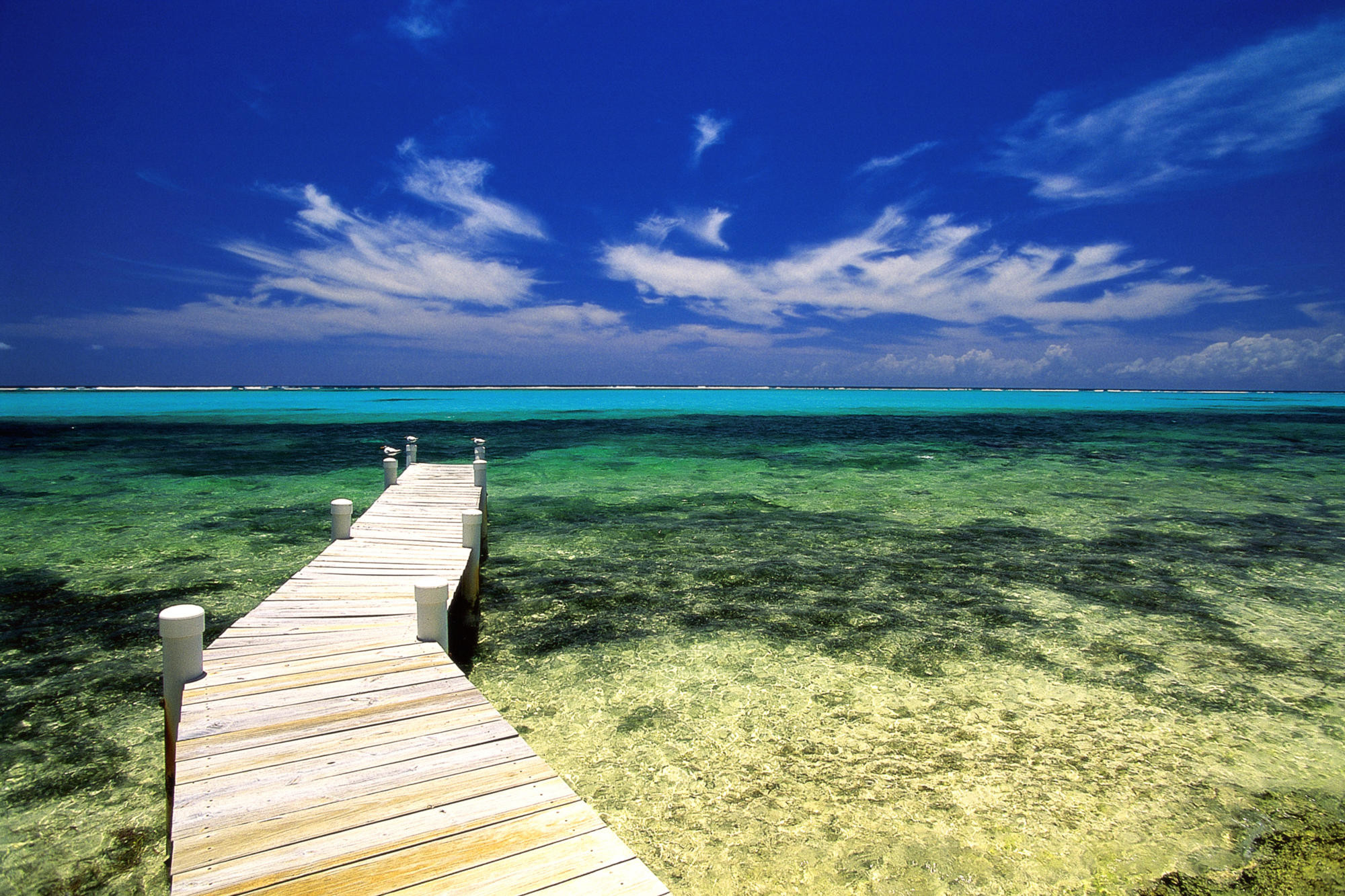 Jamaica Beach Wallpaper