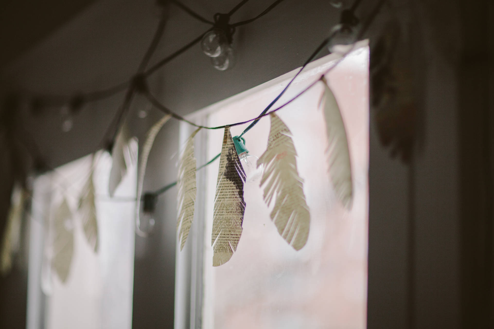 Fairy Lights And Feathers Laptop Wallpaper