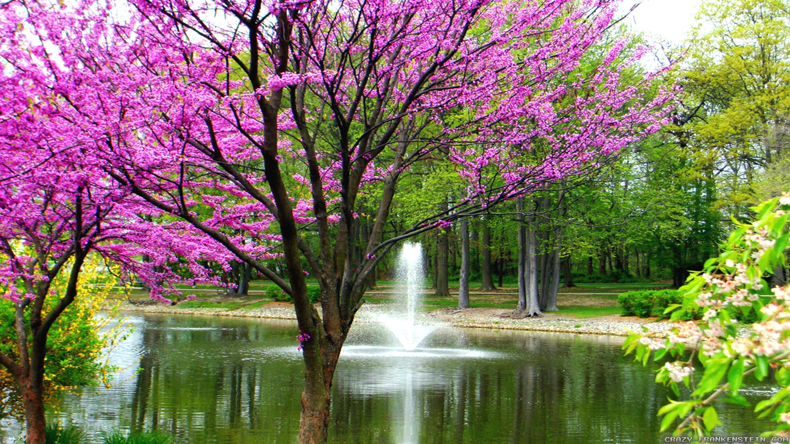 Beautiful Spring Wallpaper