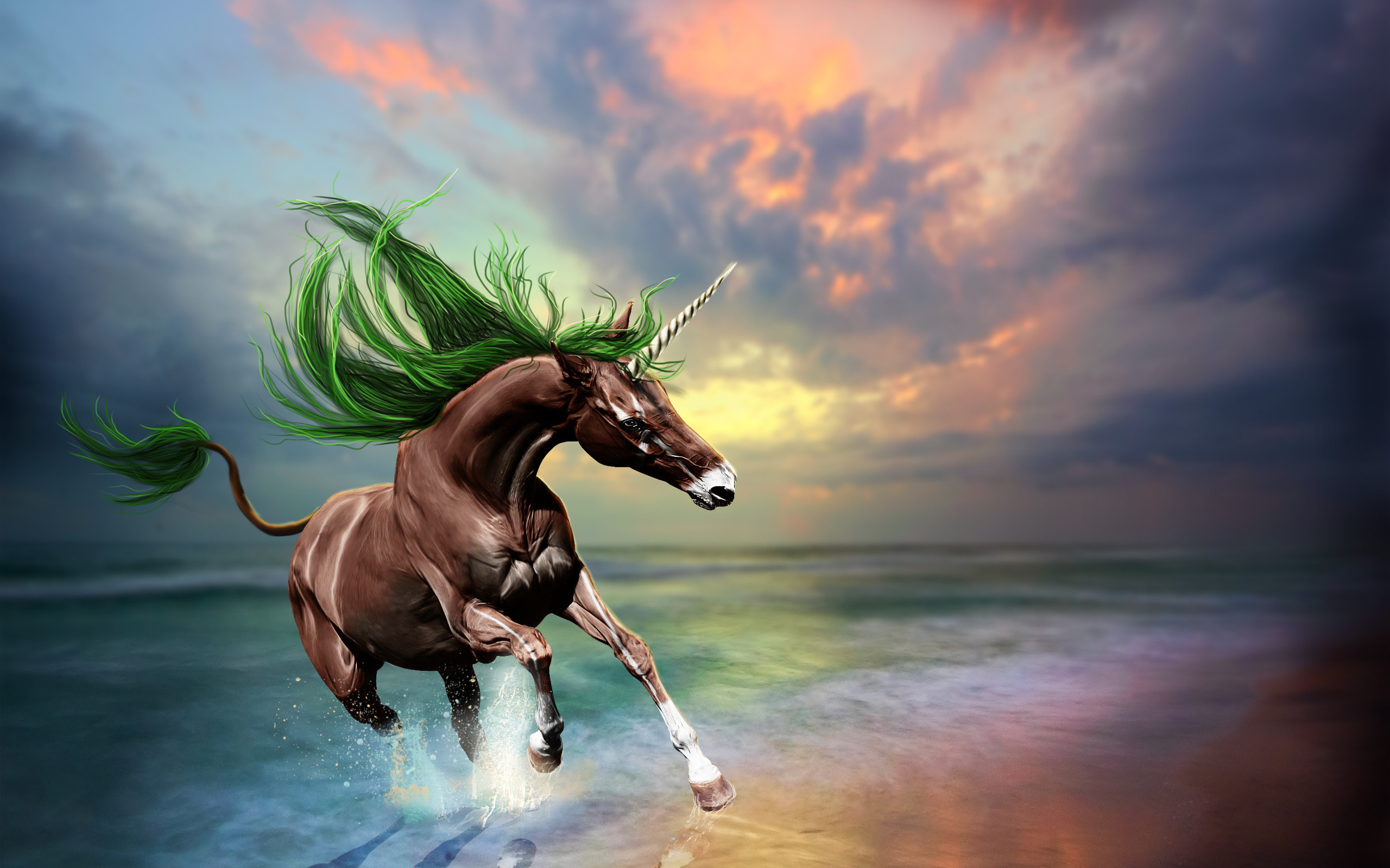 Unicorn animation hd Animals animation background   Picture for