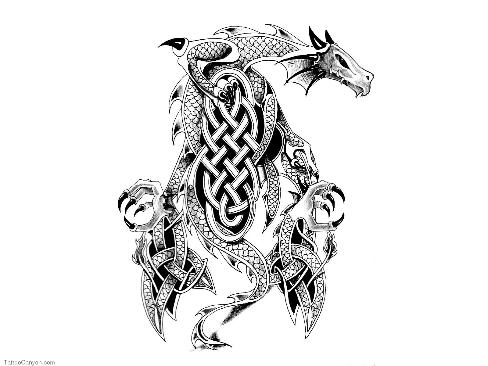 Designs Japanese Warrior Dragon Tattoo Wallpaper Picture