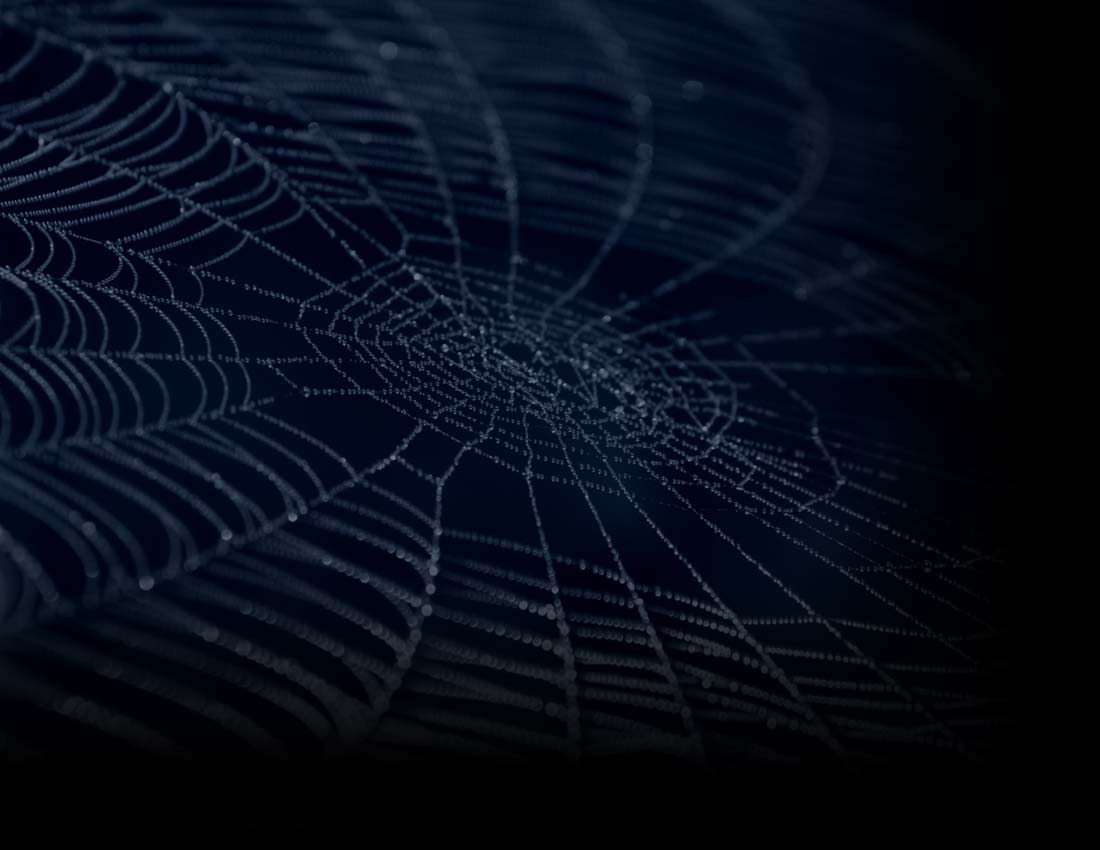 Displaying Image For Blue Spider Web Background