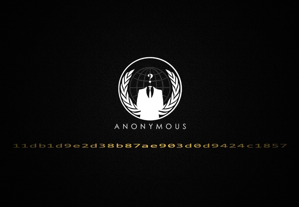 Anonymous Operations logo wallpaper 1015x705