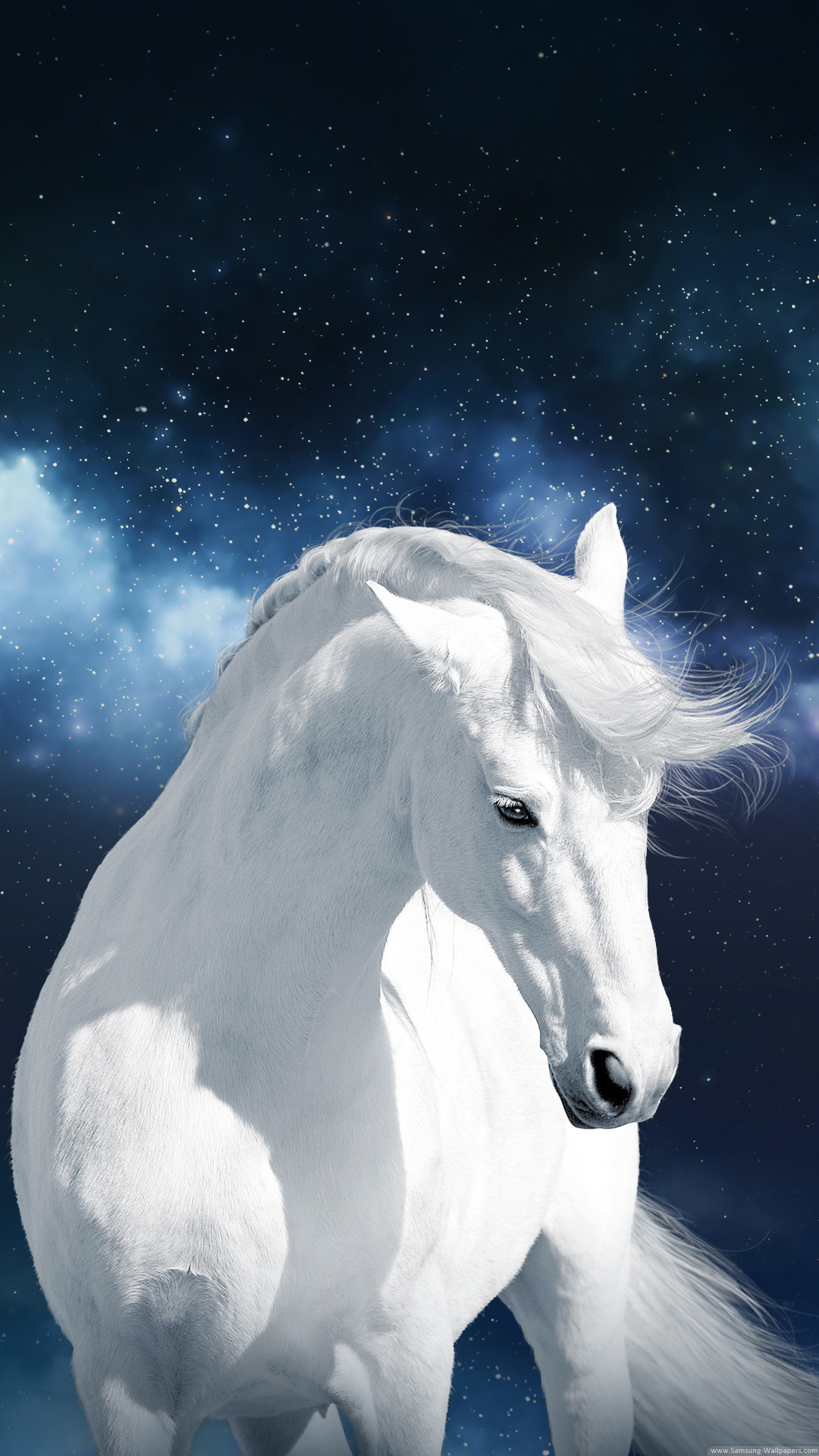 White Horse Wallpaper