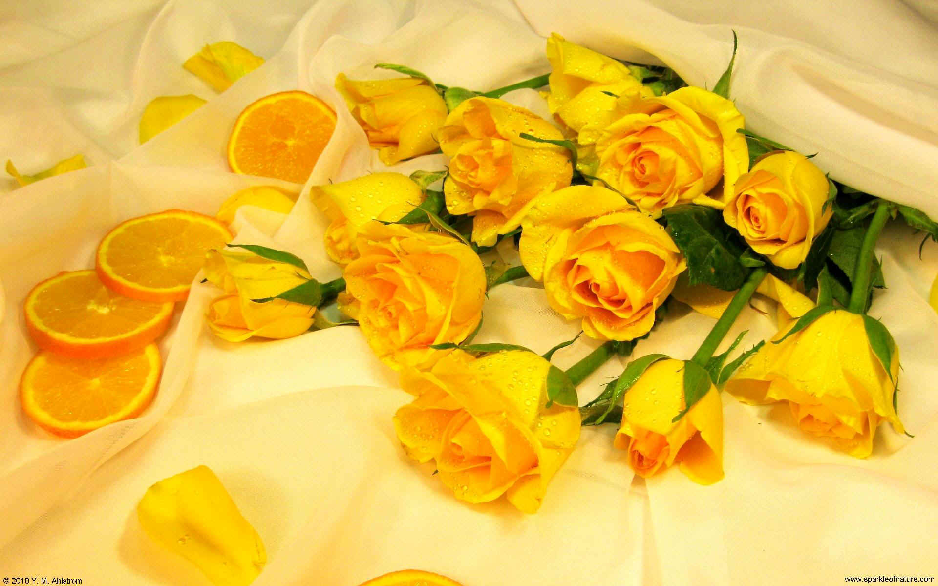 Wallpaper Sparkle Roses Yellow Oranges