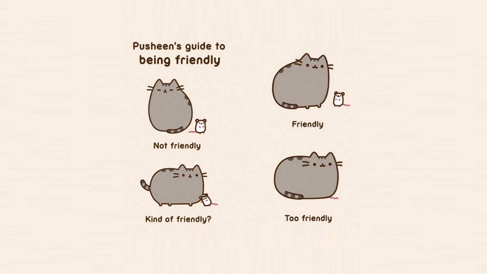 Cat Meme Wallpaper