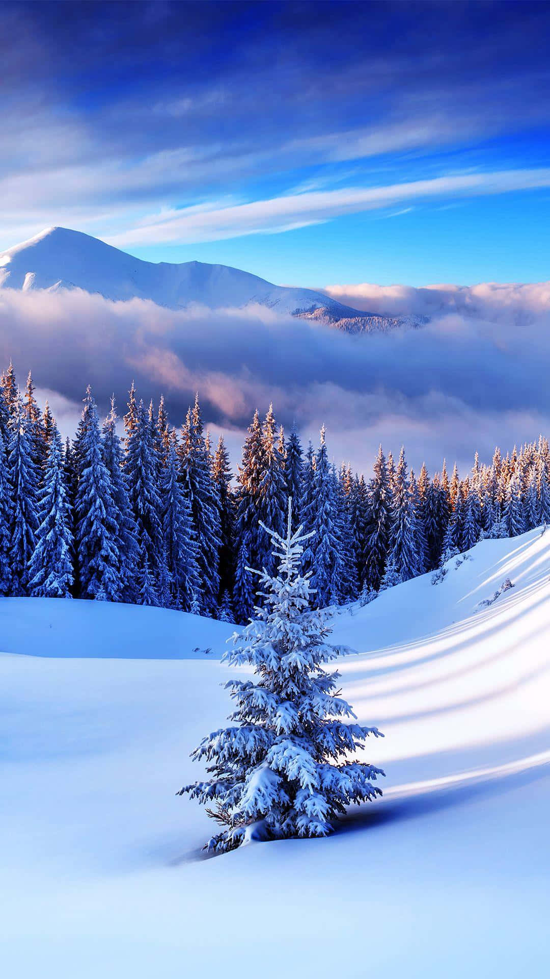 Snow iPhone Wallpaper