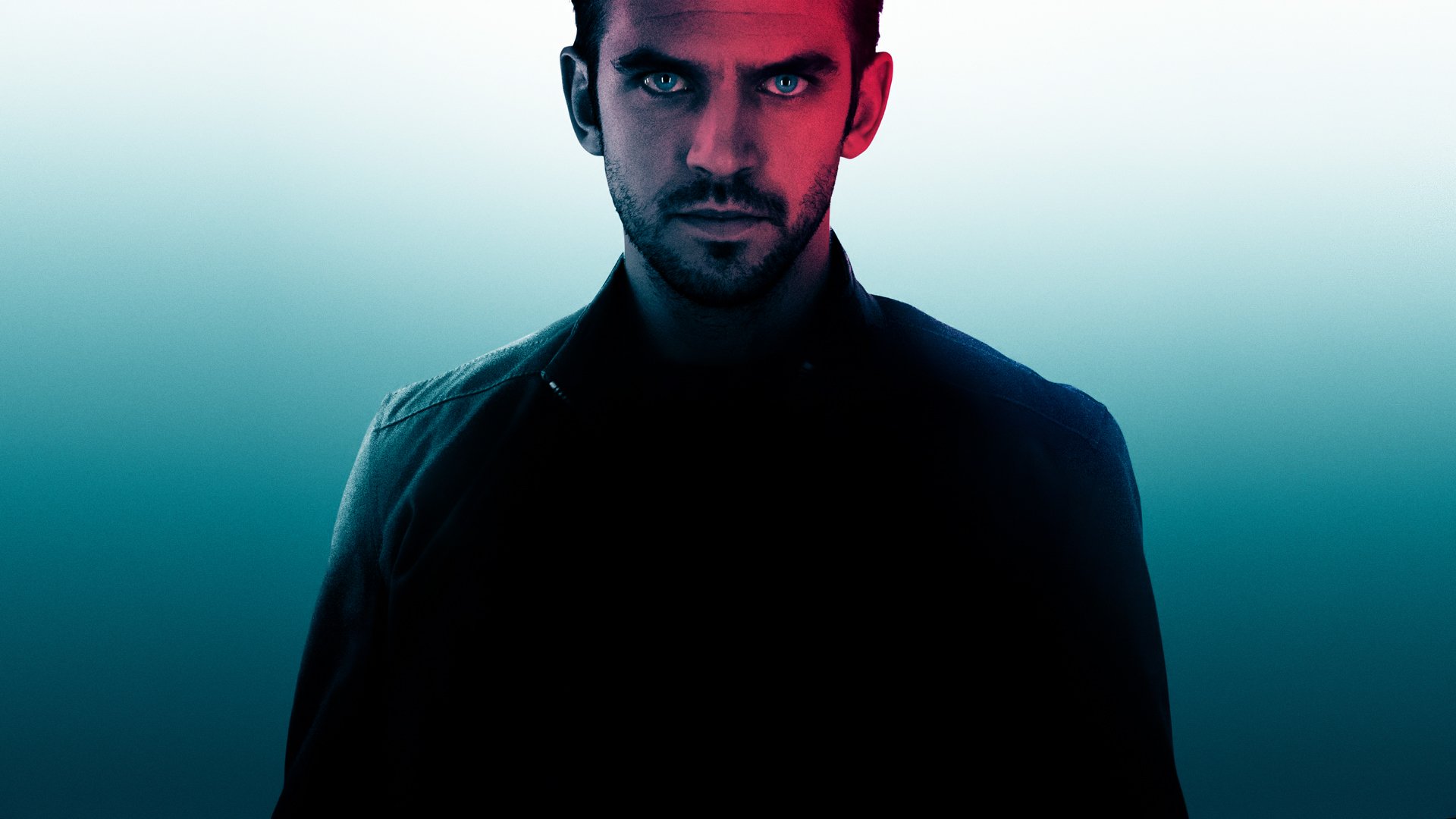 The Guest HD Wallpaper Background Image Id