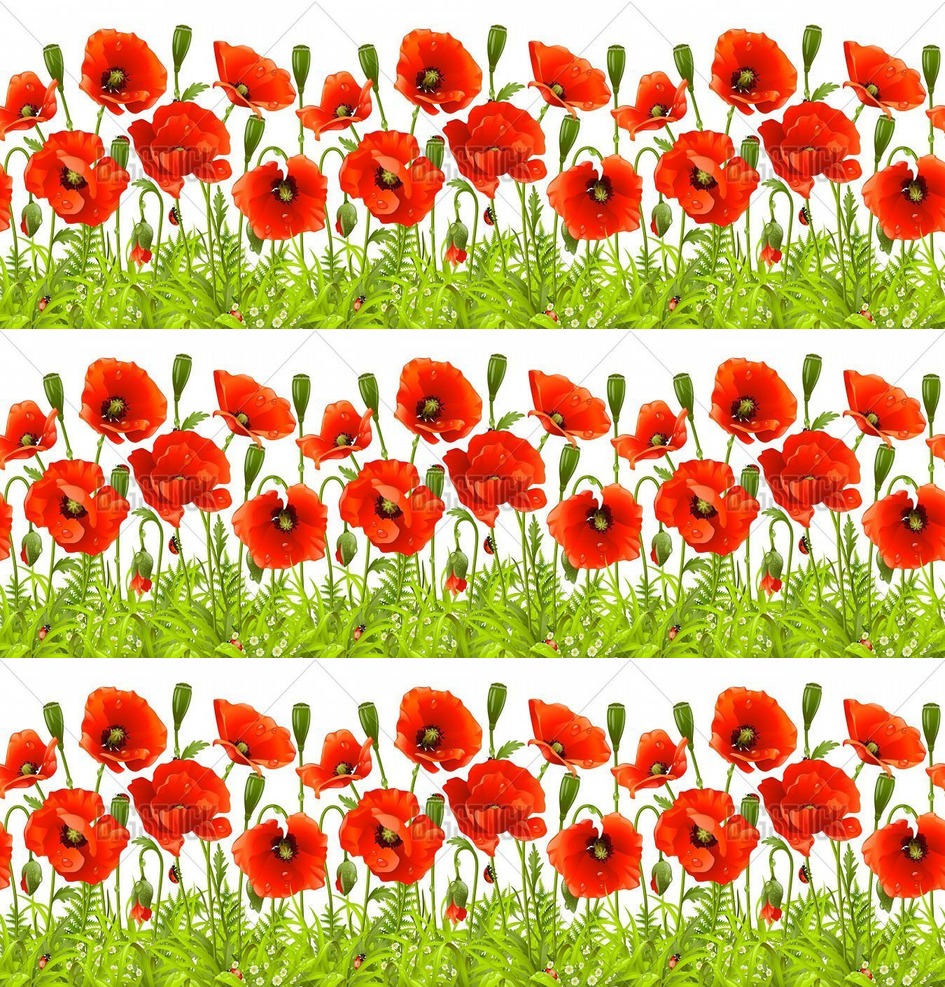 Vector Seamless Horizontal Border With Red Poppy Flower And Green