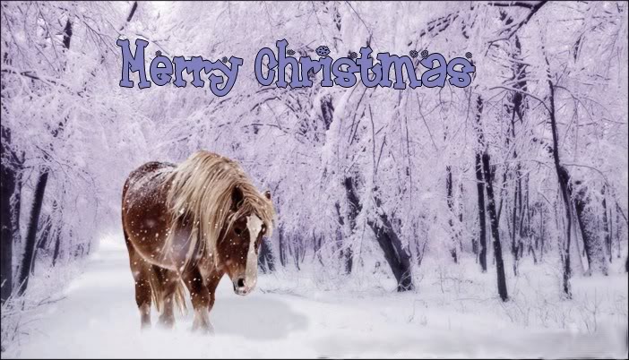 Christmas Desktop Wallpaper Horse