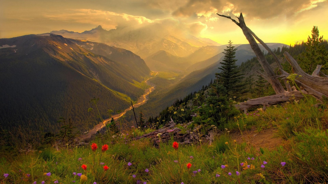 Spring Landscapes Wallpapers   1366x768   398069