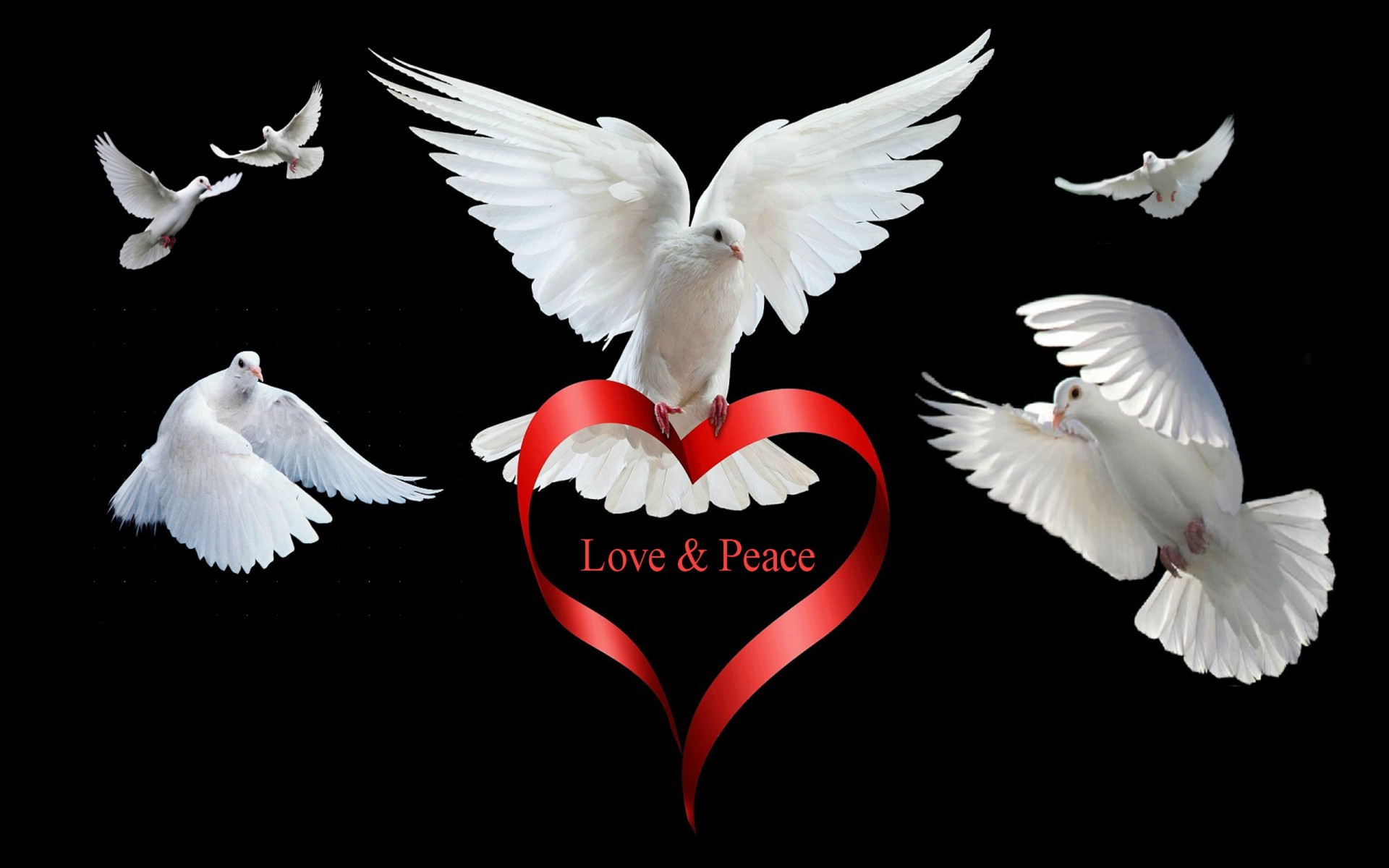 Love Peace HD Desktop Background Wallpaper13