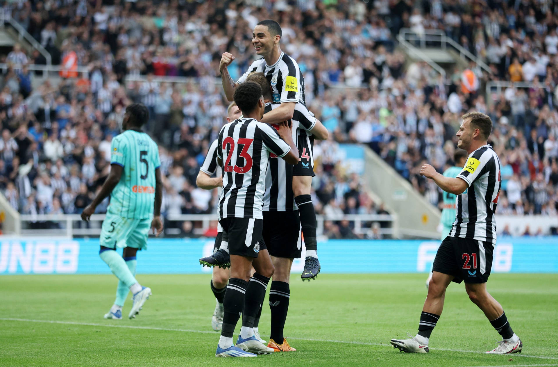 Newcastle United Fc Wallpaper