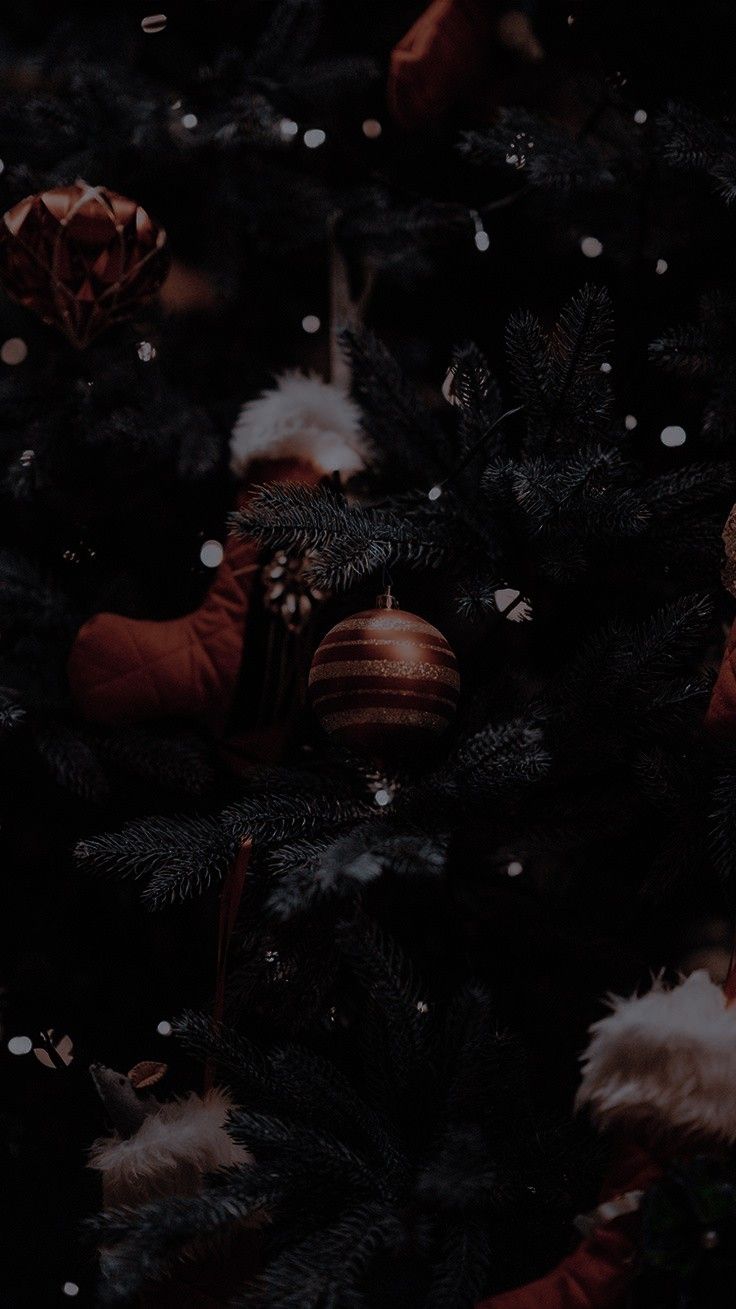 Lavy On Christmas Feeling Wallpaper