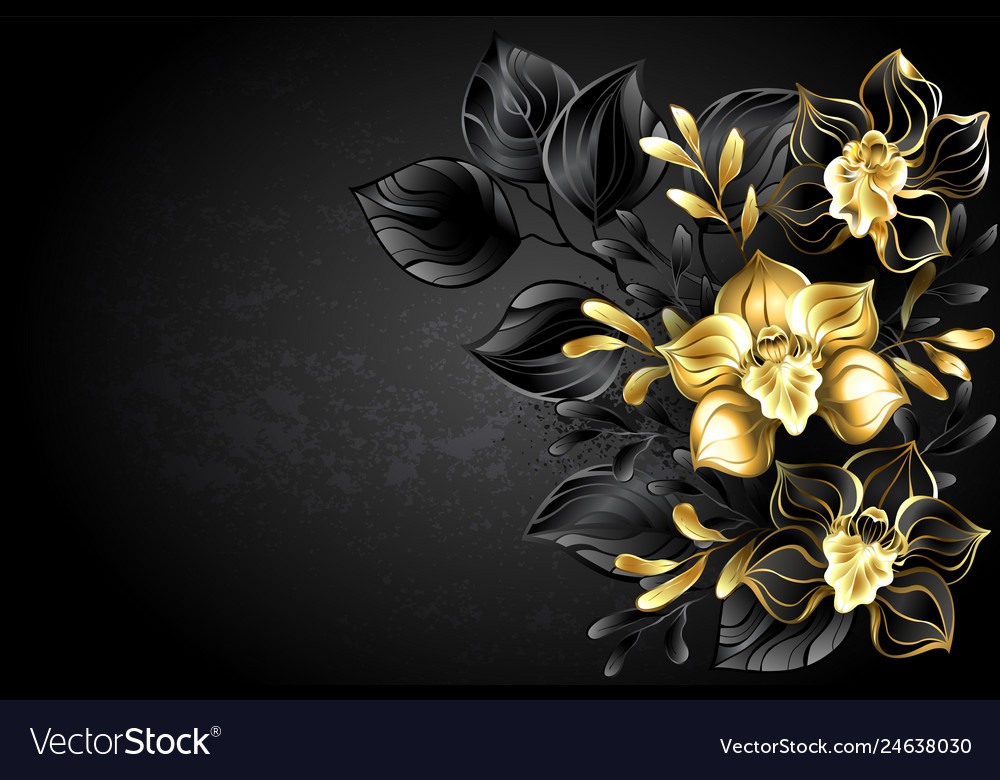 Black Background With Orchid Royalty Vector Image
