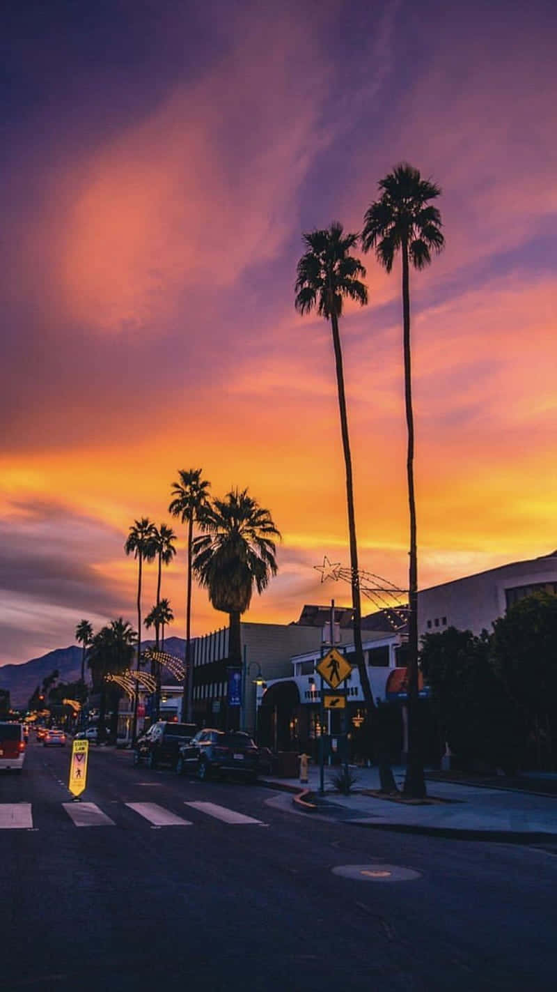 California Summer Wallpaper