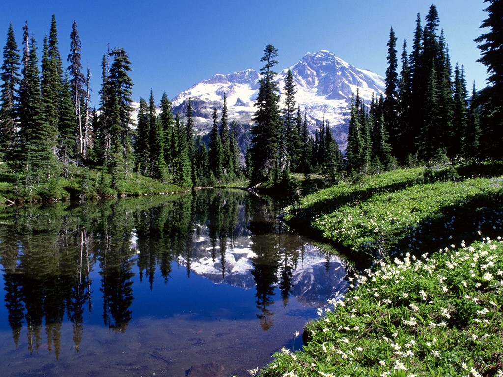Lake Wallpaper Mirror Mount Rainier Washington Usa