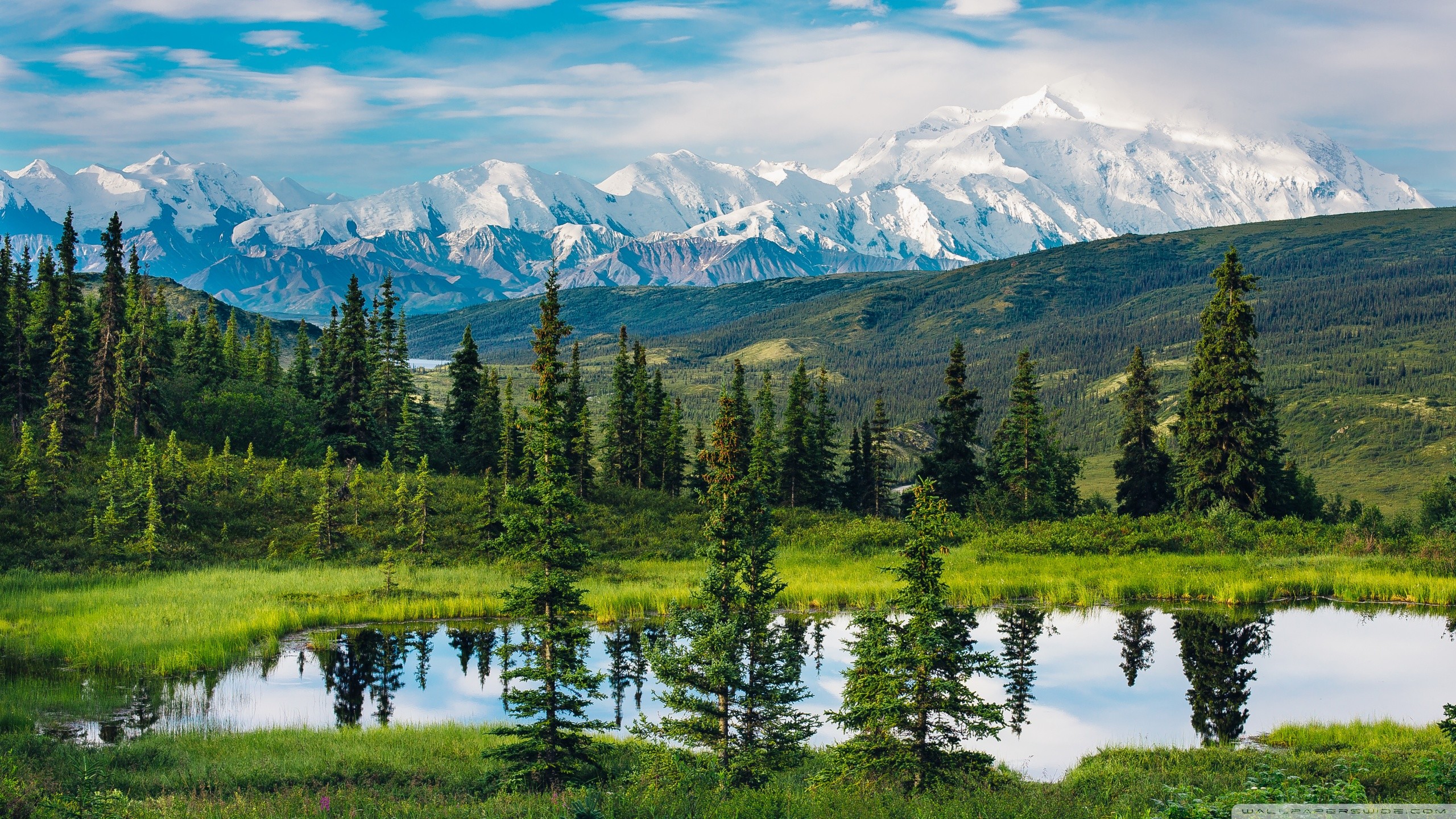 High Definition Landscape Wallpaper