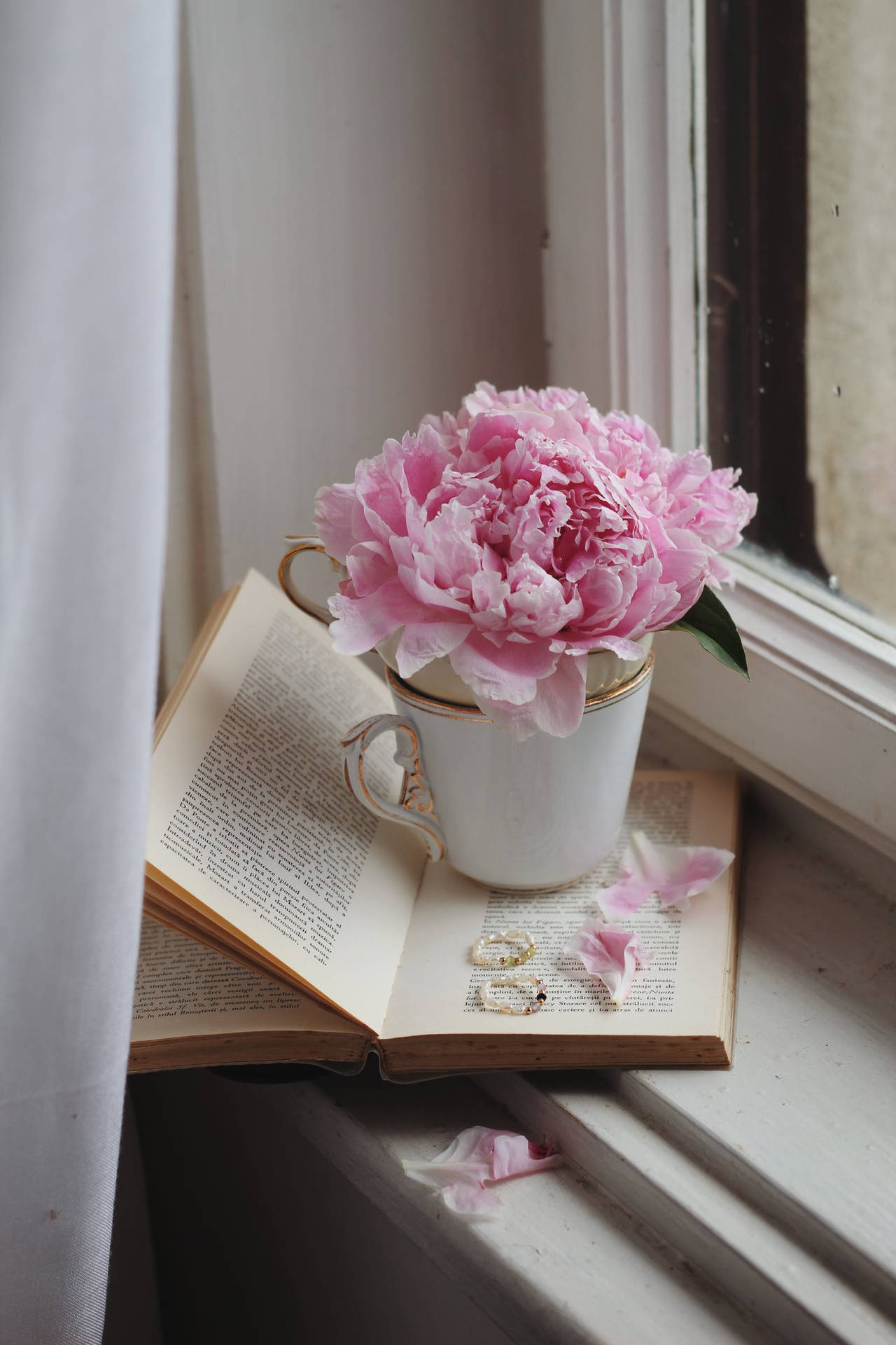 Flower Android Wallpaper