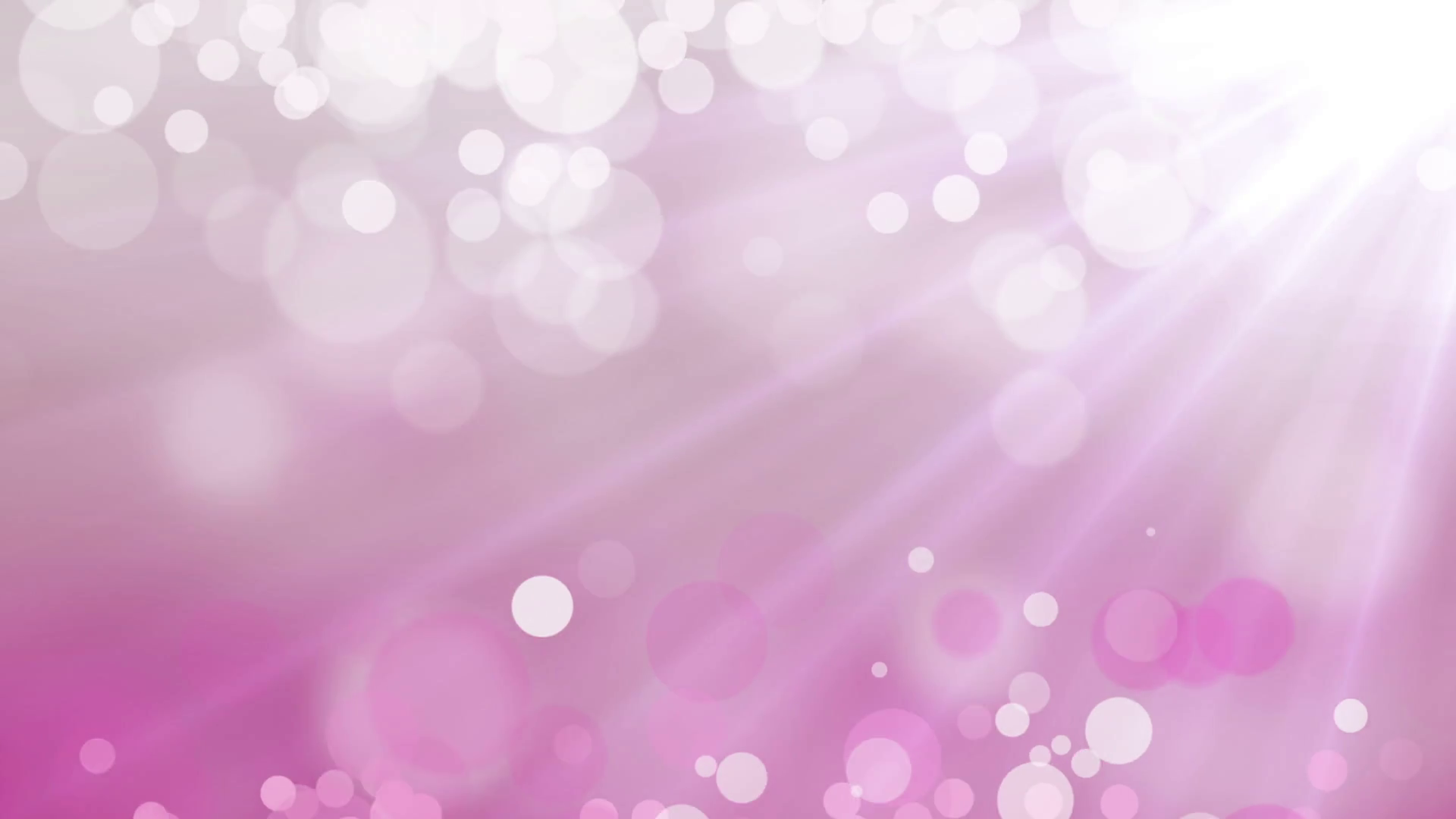 Pink Background High Quality Image All White