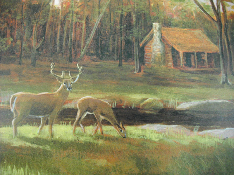Outdoor Scene W Cabin Deer Turkey Canoe Wallpaper