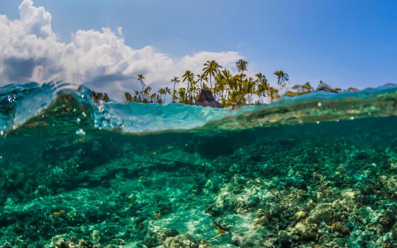 Underwater Reef Off Puuhonua O Honaunauat Big Island Hawaii