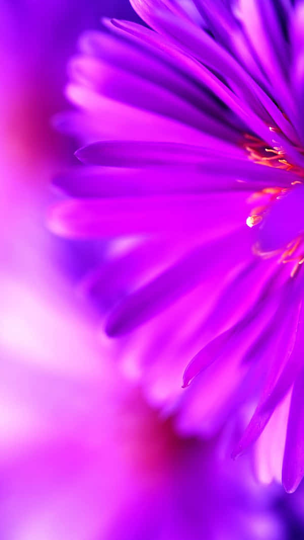 Gorgeous Purple Phone For Ultra Premium Style Wallpaper