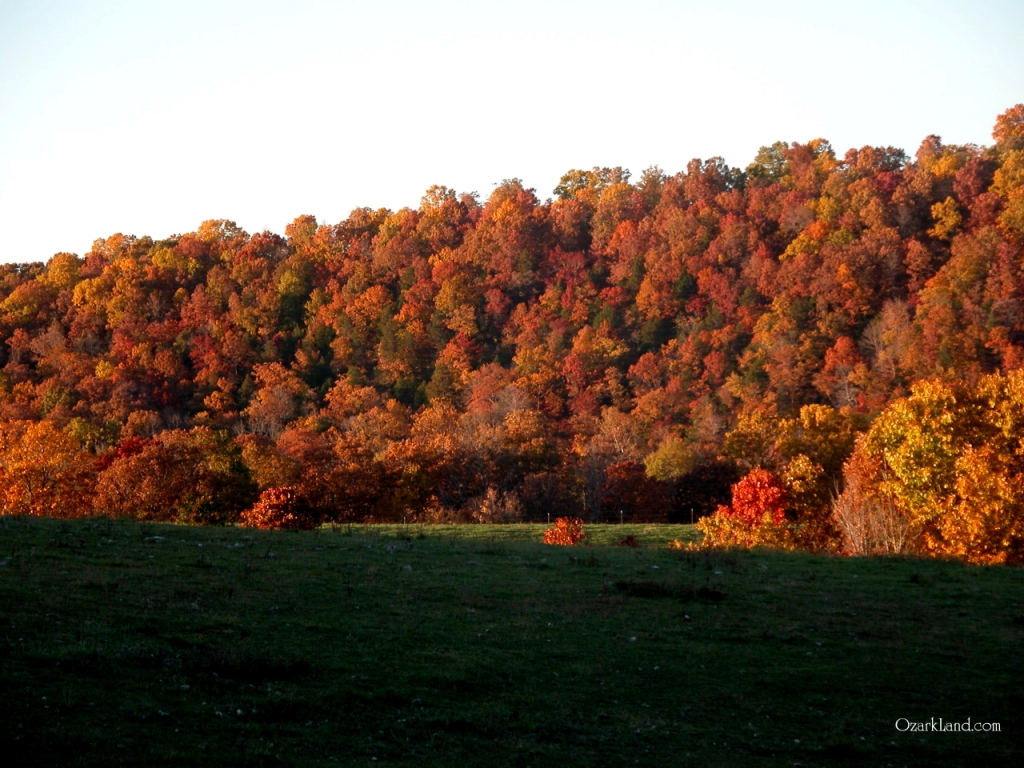 Ozark Mountain Scenic Wallpaper From Woods Waters Two