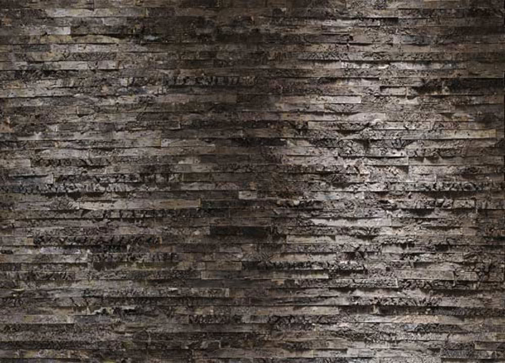 47+ Birch Bark Wallpaper for Walls on WallpaperSafari