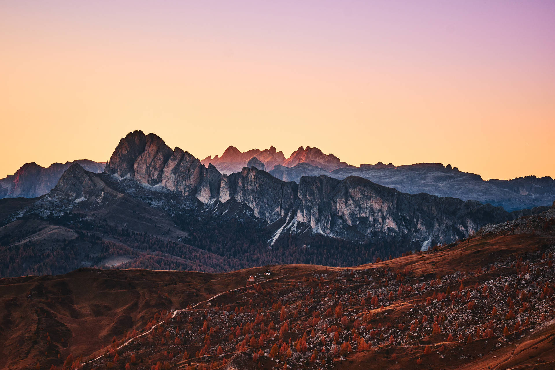Full Screen HD Wallpaper