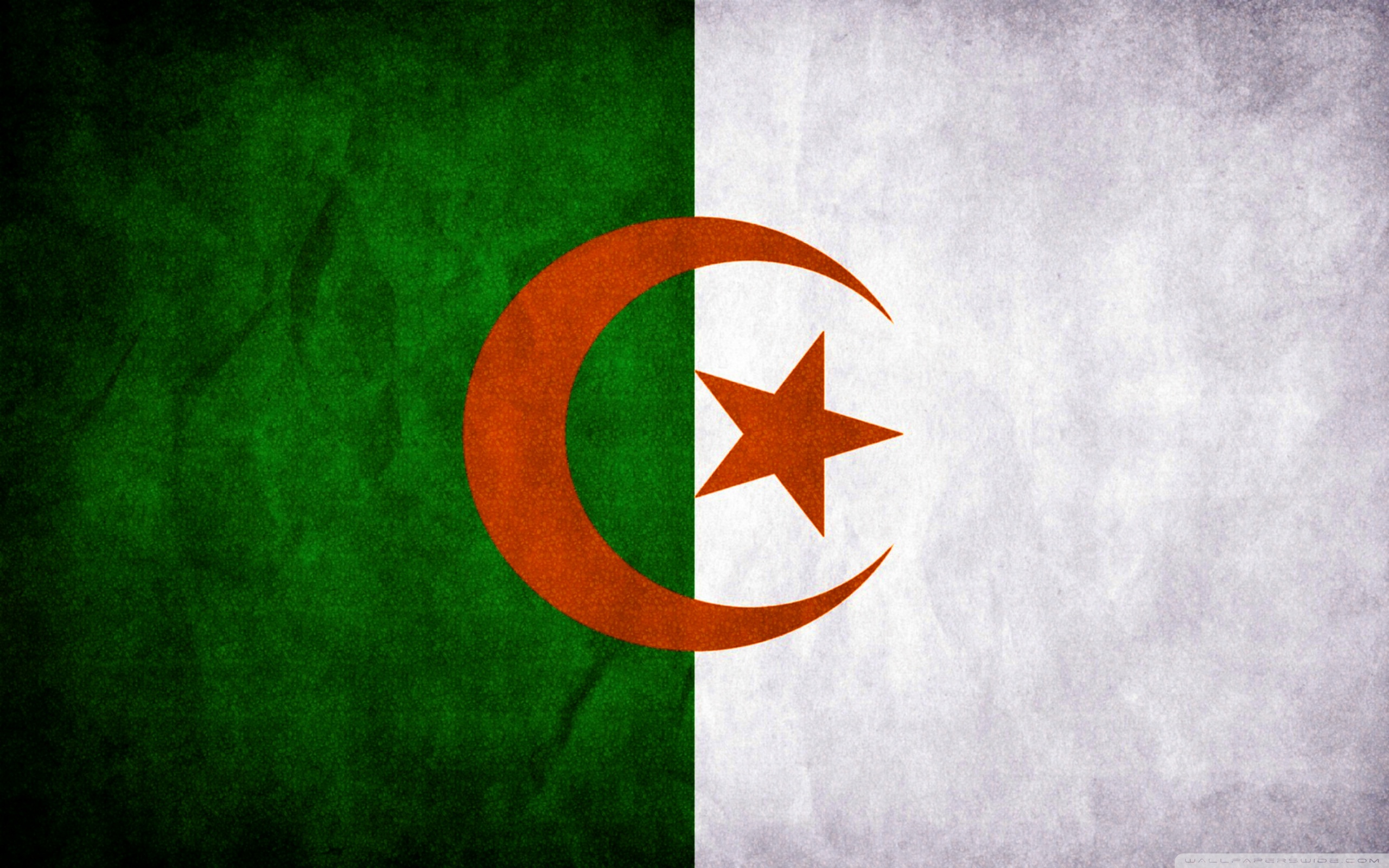 Flag Of Algeria Wallpaper Image Dodowallpaper
