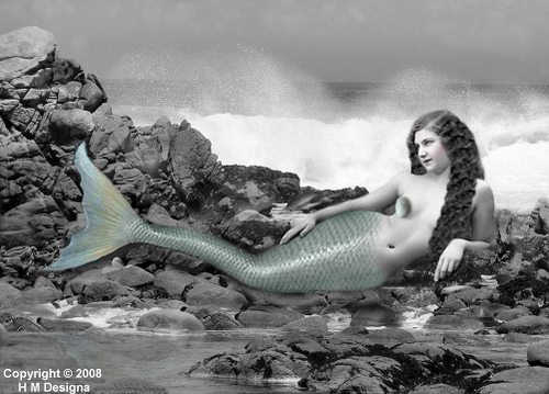 Mermaid On The Rocks Photo Sharing