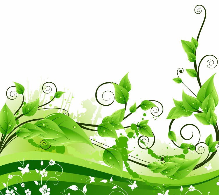Fresh Green Floral Background Vector Graphics All Web