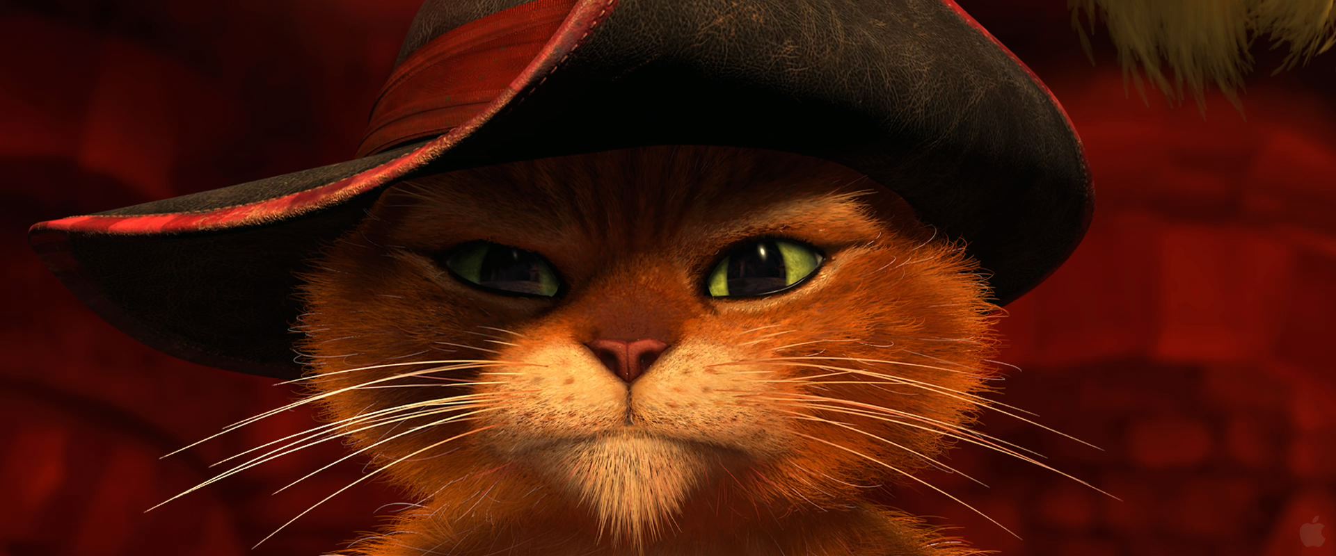Puss In Boots Dreamworks Movie Wallpaper Click Picture For High