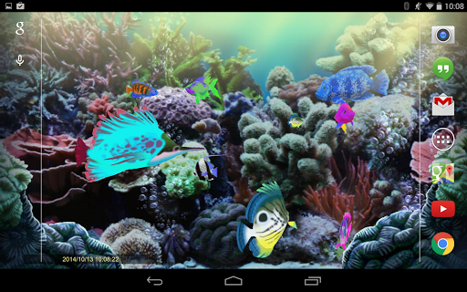 Exotic Aquarium Live Wallpaper Uno Splendido Acquario Animato Per