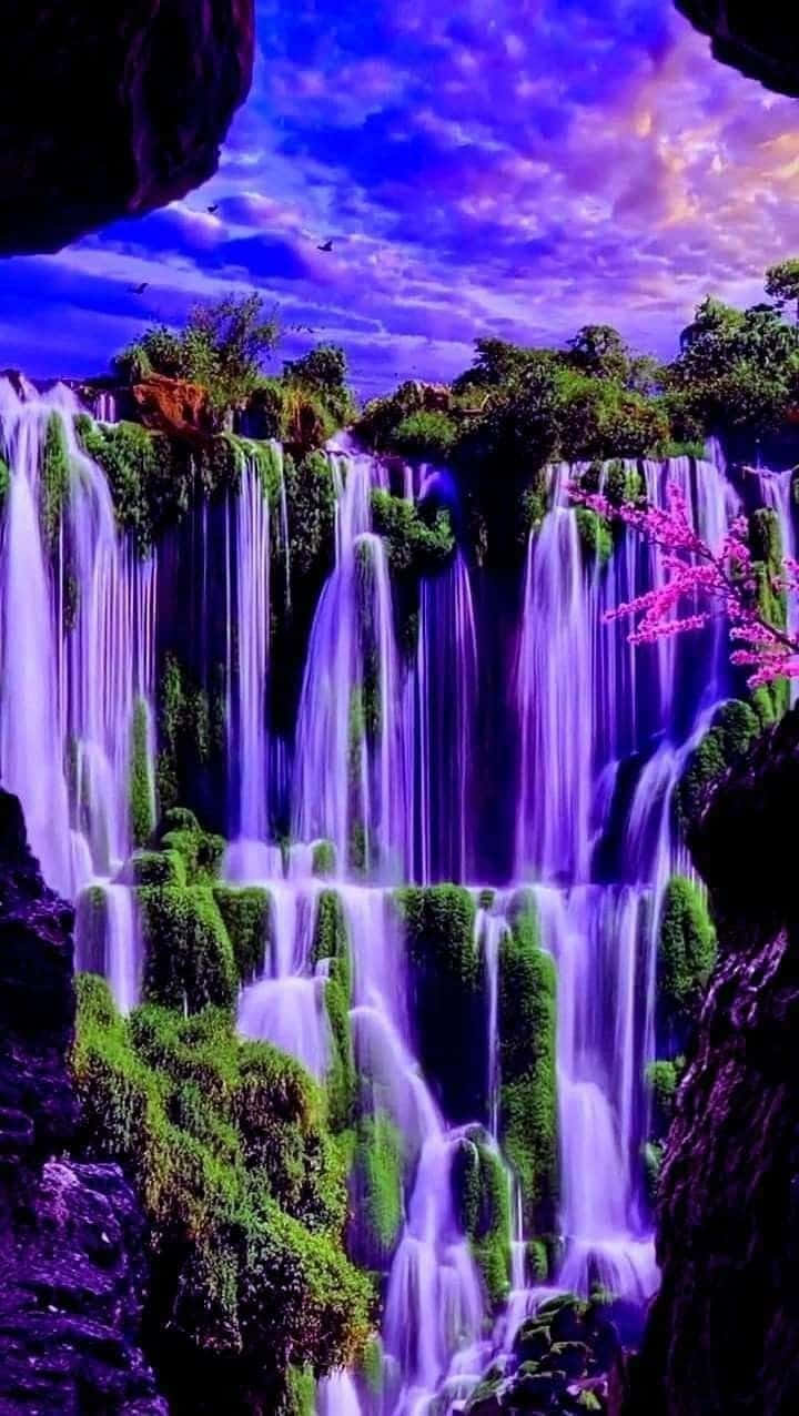 Beautiful Nature Picture Wallpaper