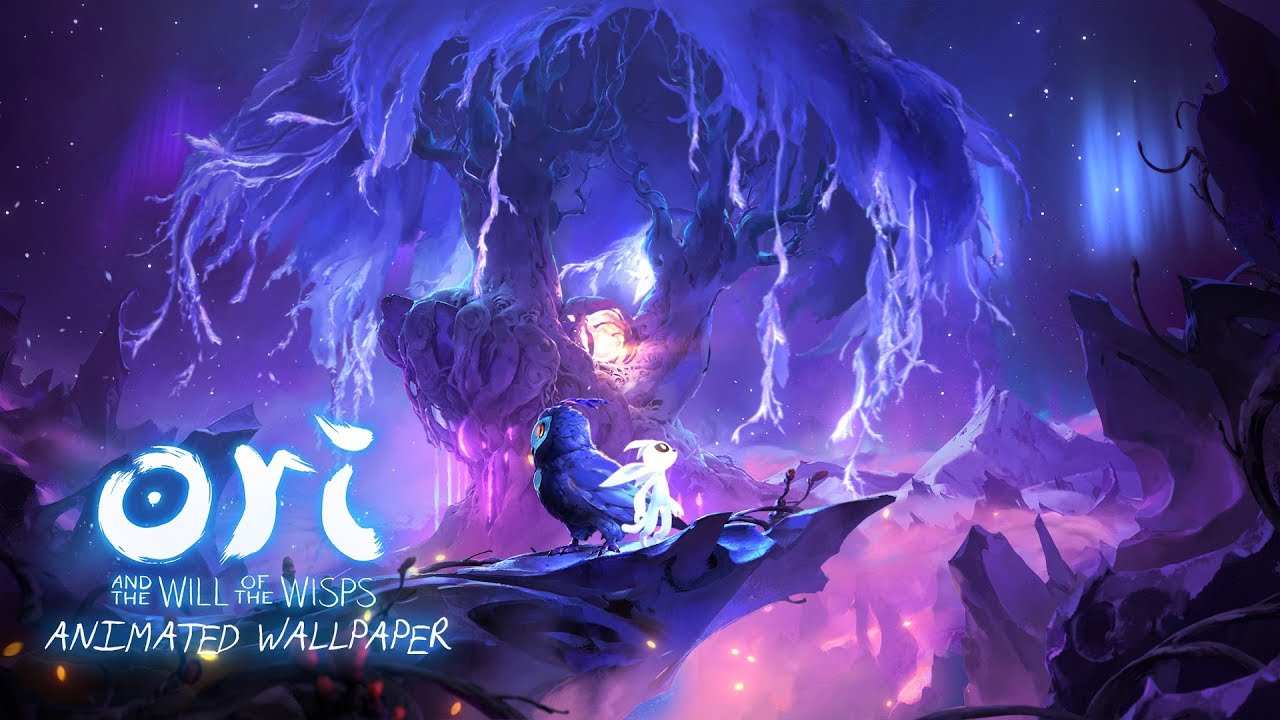 Ori and the will of the Wisps   Animated Wallpaper [FANMADE LOOP