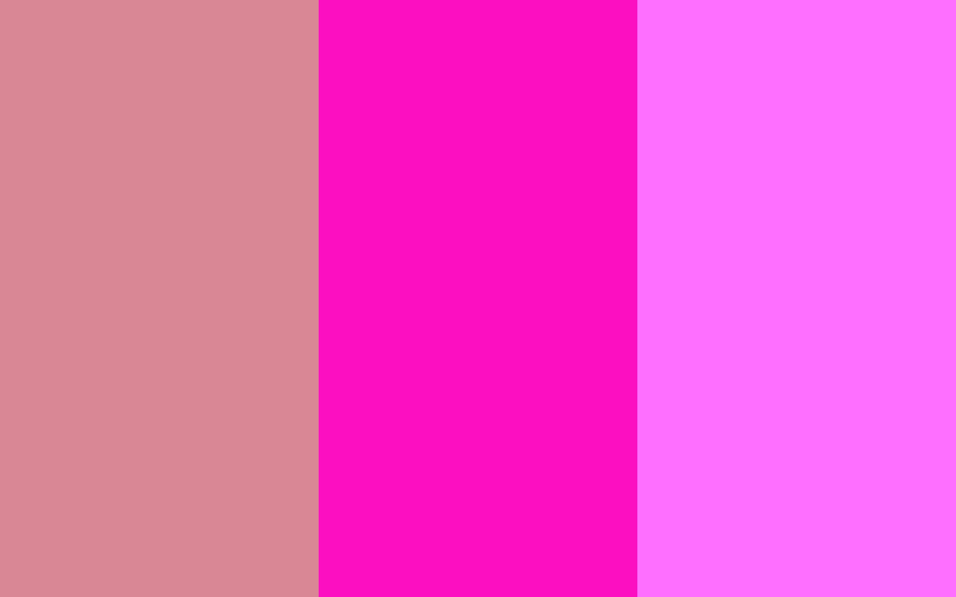 Blush Pink Wallpaper