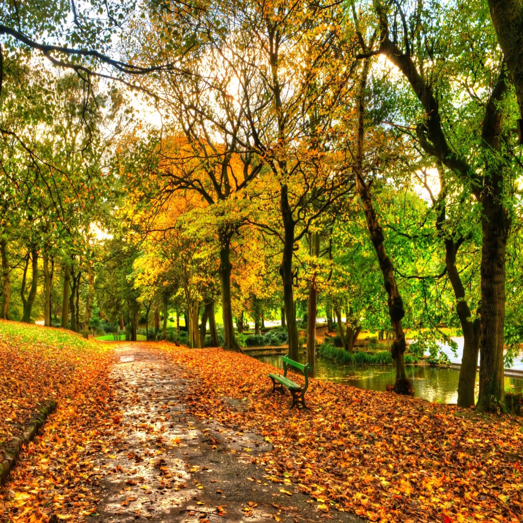 Autumn In New York Central Park Mobile Wallpaper For iPad