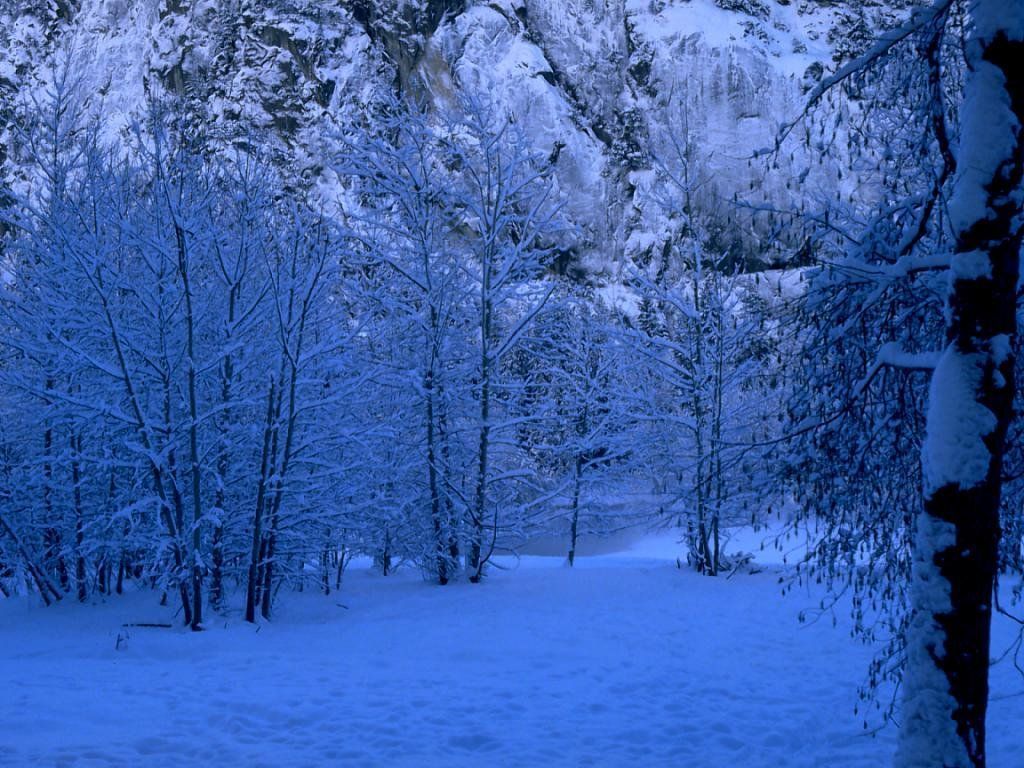 Christmas images Winter Scene HD wallpaper and background