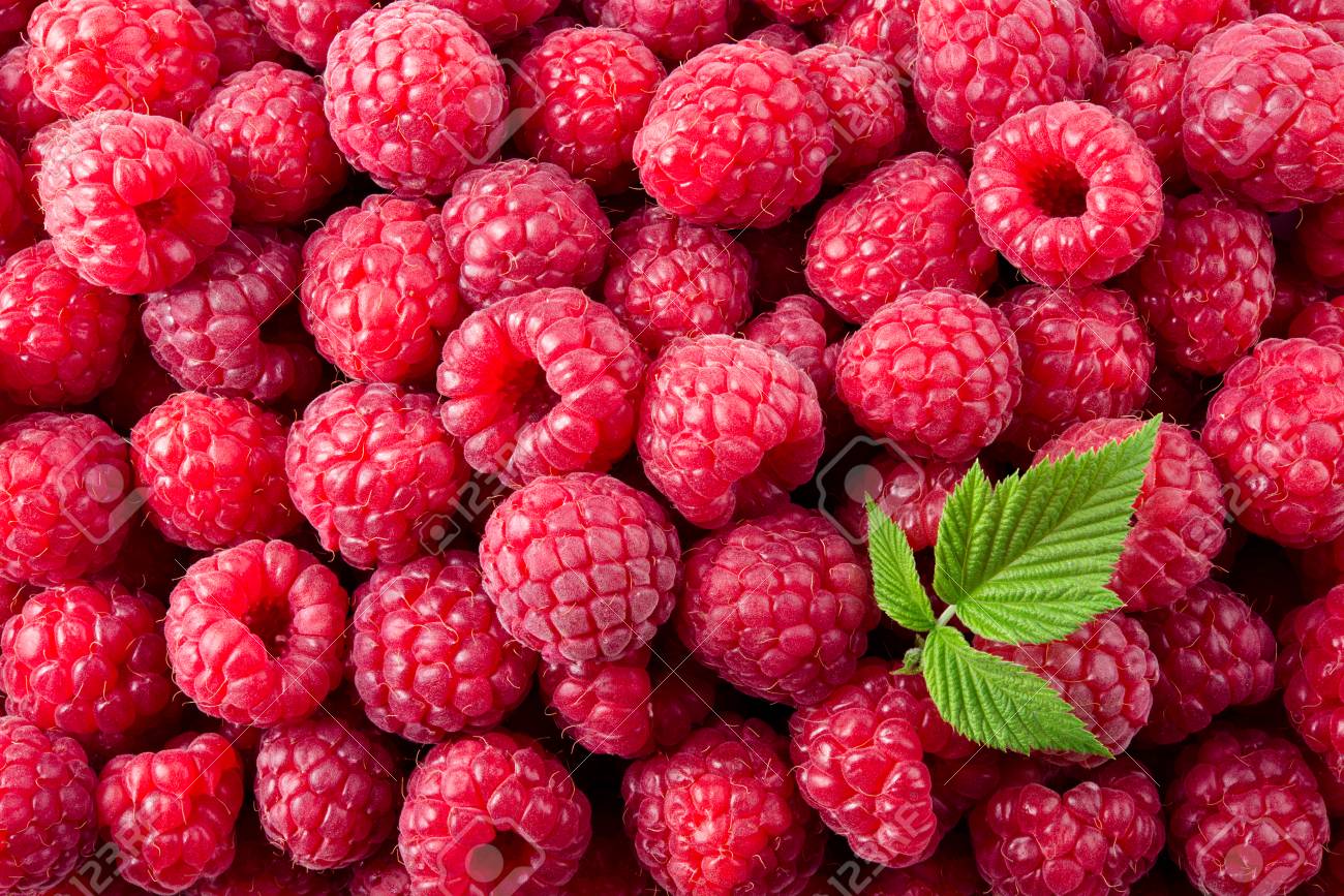 Raspberry Background Raspberries Stock Photo Picture