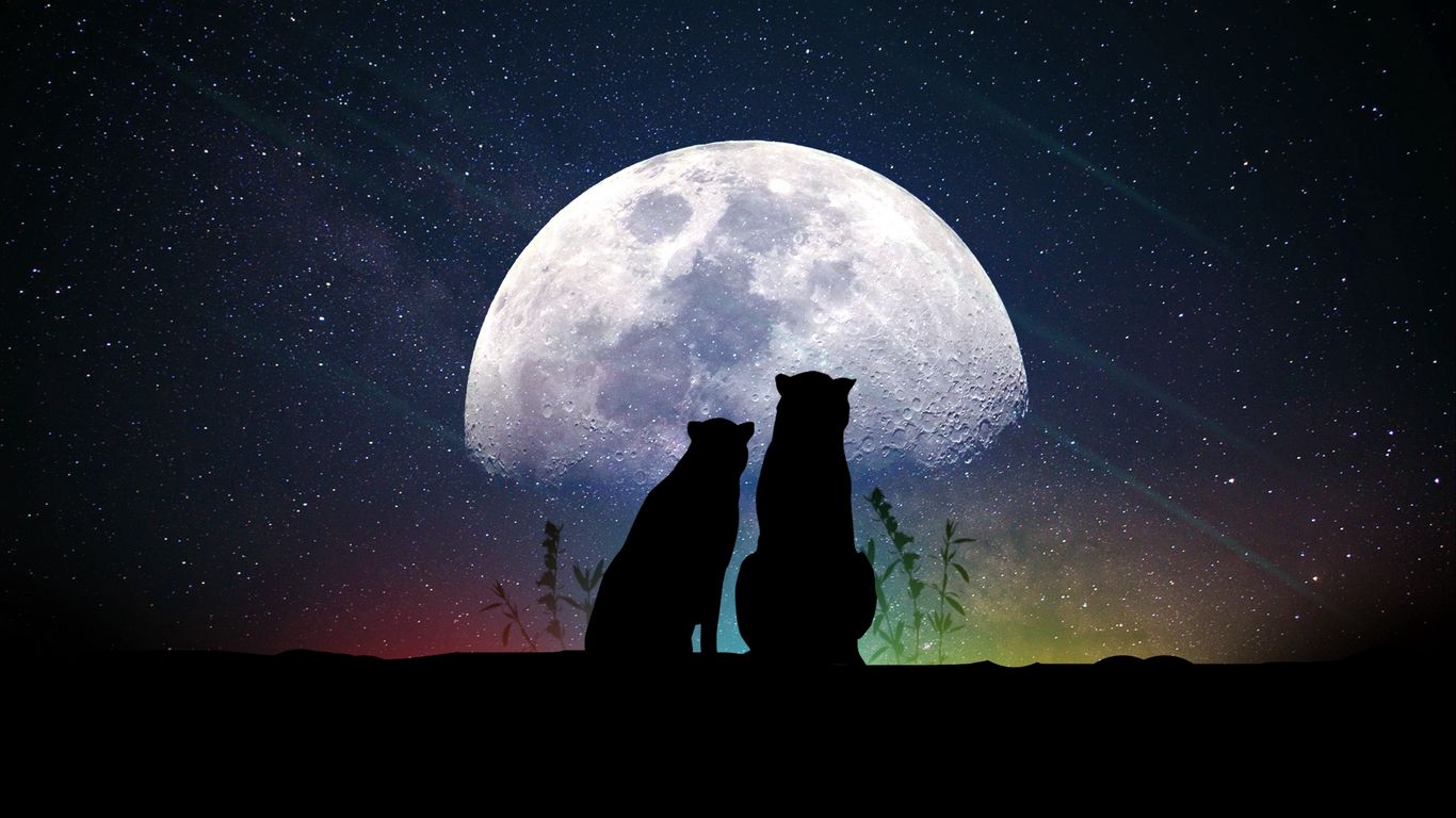 Wallpaper Animals Moon Silhouettes Starry Sky