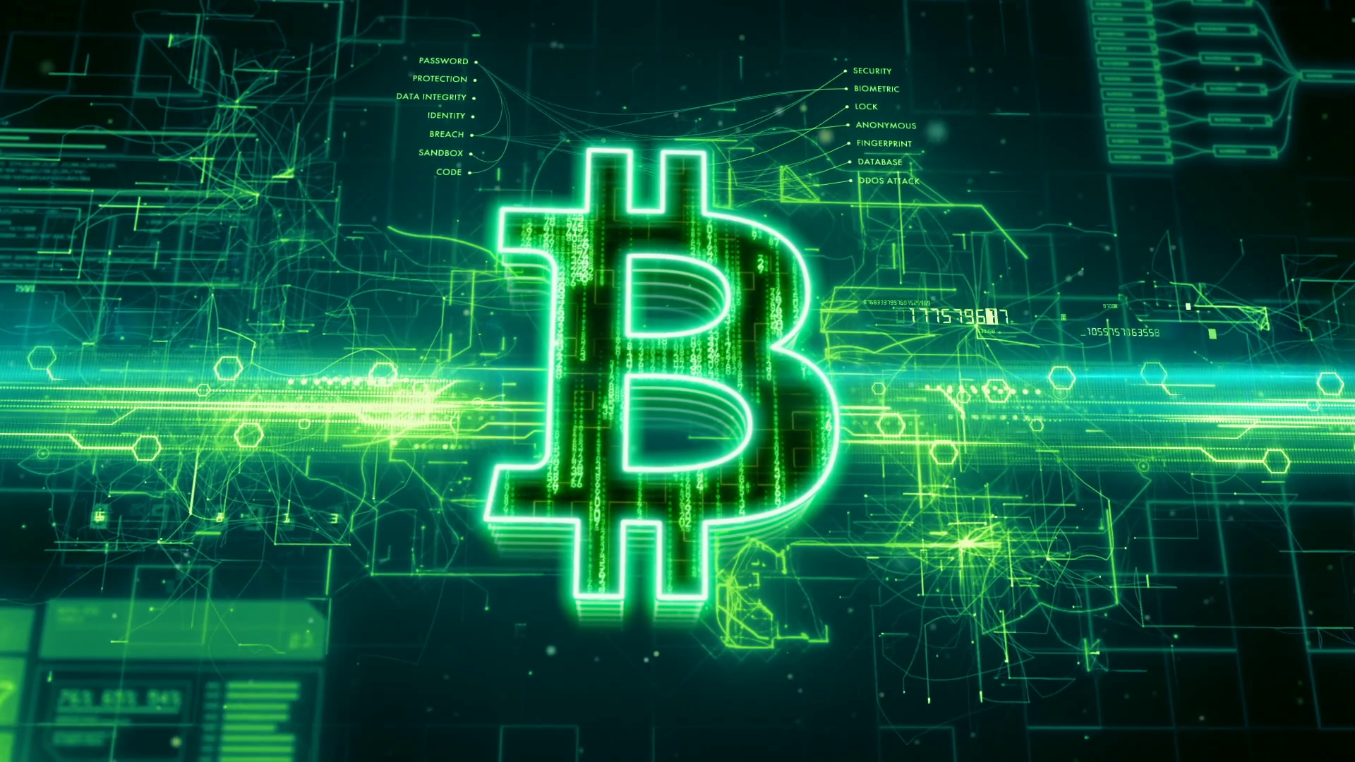 Bitcoin Cash Wallpaper Top Background