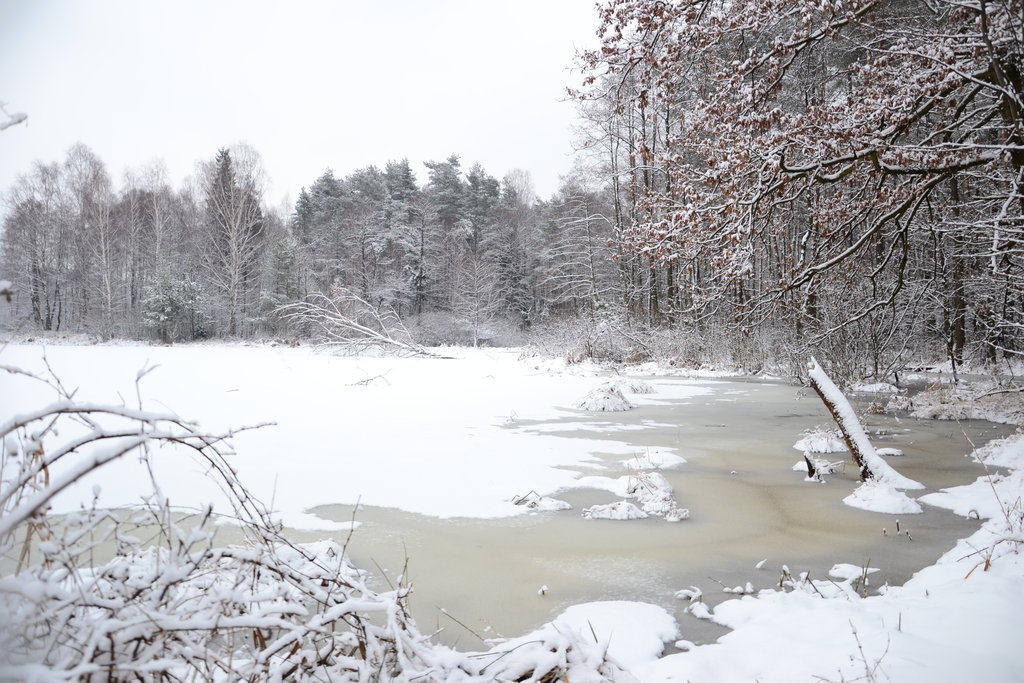 Frozen Pond By Feainne Stock