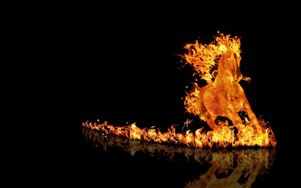 Amazing Fire Horse Wallpaper