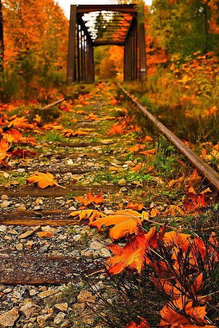 Autumn Train Bridge Hot Girls Wallpaper